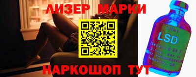 шишки Дубна
