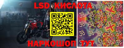 дмт Донской
