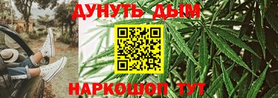 шишки Дубна