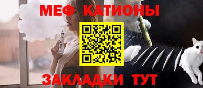 шишки Дубна
