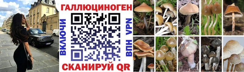блэк спрут как зайти  Ковров  Псилоцибиновые грибы MAGIC MUSHROOMS 