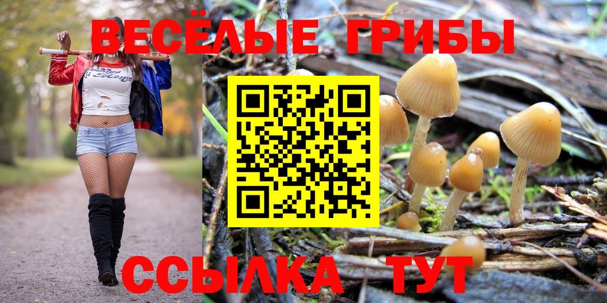 Ковров  Марихуана  Вход с VPN  ЭКСТАЗИ  ГАШИШ  Cocaine  МЕФ   NBOMe 