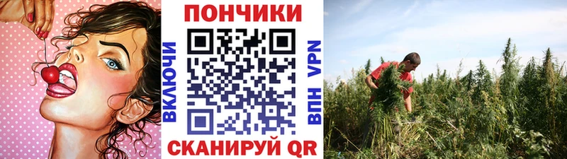 Канабис Bruce Banner Ковров